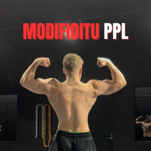 Modifioitu PPL - Premium